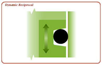 Reciprocal Dynamic Seal