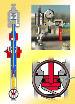 Kalrez Spectrum solve natural gas sealing problems