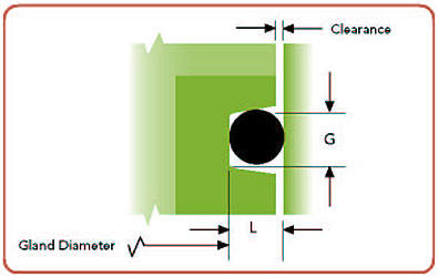 dynamic glands diagram