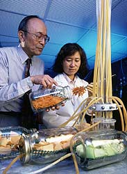Sanitary seals are critical for food products