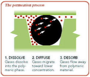 The permeation process